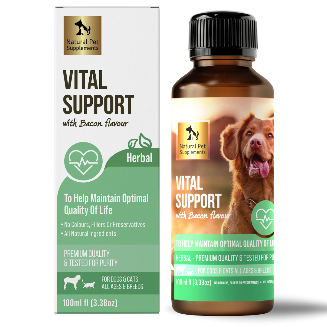 Vital Support Herbal Tincture for Dogs and Cats Natural Pet Supplements Australia